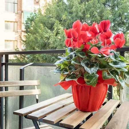 Torri & Portici بيت ضيافة بولونيا