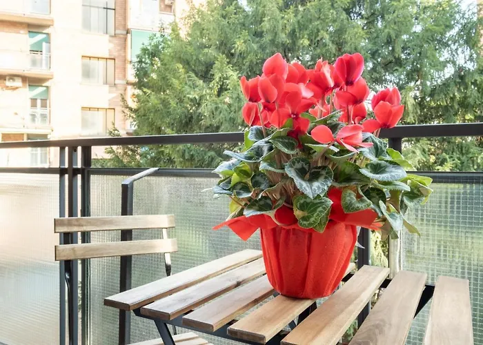 Torri & Portici Guest house Bologna